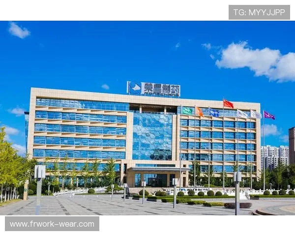 k8凯发中国天生赢家·一触即发:助力玩家实现从新手到高手的快速蜕变